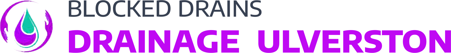 website logo